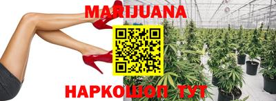 МДПВ Камышлов
